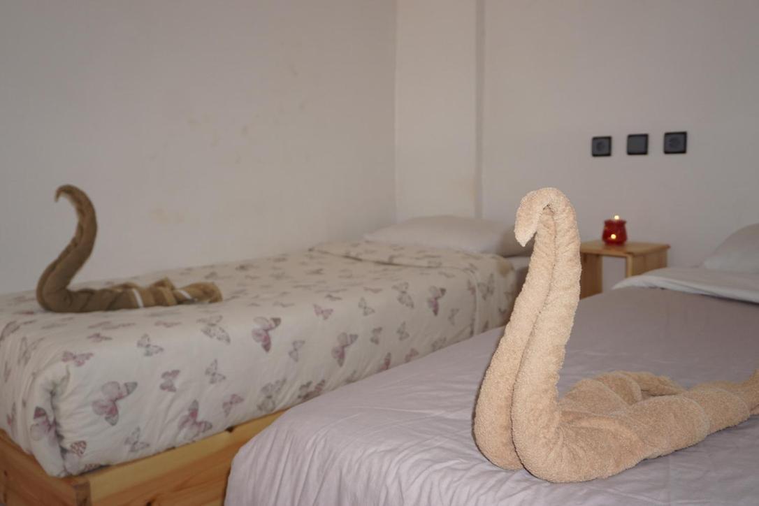 Hostel The Endless House Anchor Point ทากาเซาท์ ภายนอก รูปภาพ